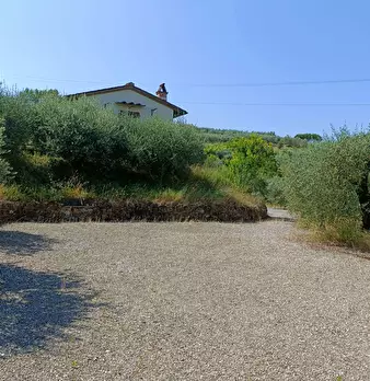 Foto annuncio 21