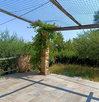 Foto annuncio 9