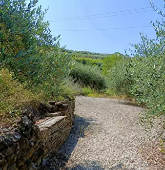 Foto annuncio 20