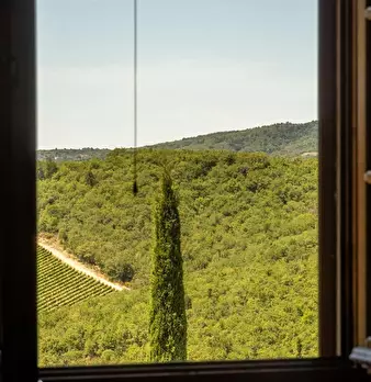 Foto annuncio 54