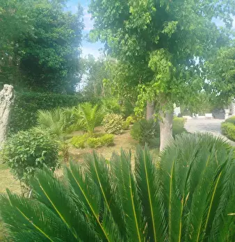 Foto annuncio 11