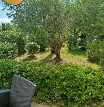 Foto annuncio 10