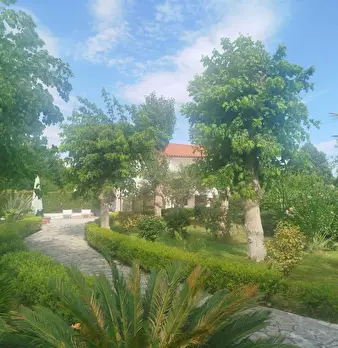 Foto annuncio 12