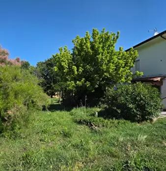 Foto annuncio 19