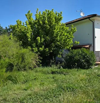 Foto annuncio 18