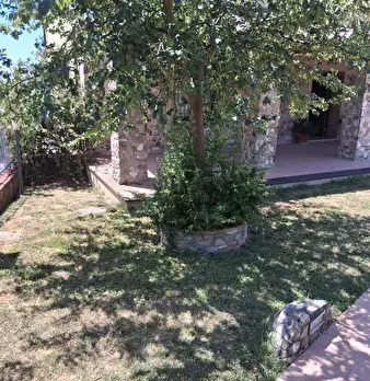 Foto annuncio 8
