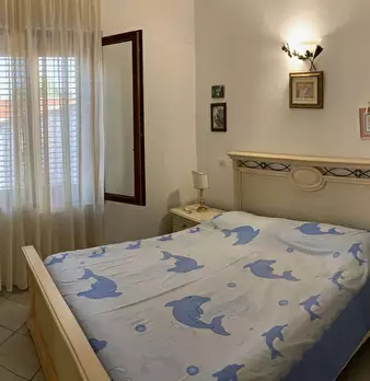 Foto annuncio 7