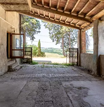 Foto annuncio 12
