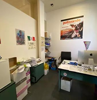 Foto annuncio 8