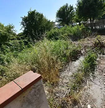 Foto annuncio 38