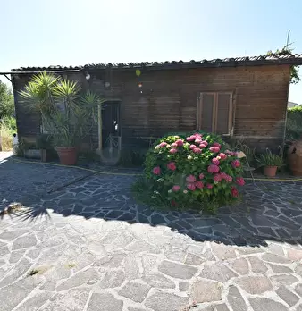 Foto annuncio 43
