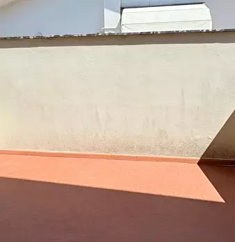 Foto annuncio 31
