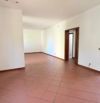 Foto annuncio 12