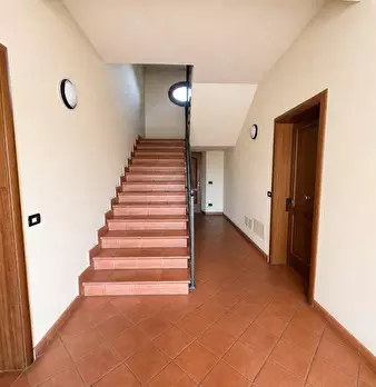 Foto annuncio 12