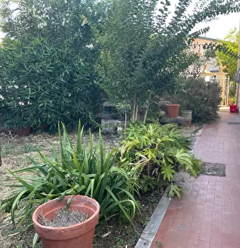 Foto annuncio 22