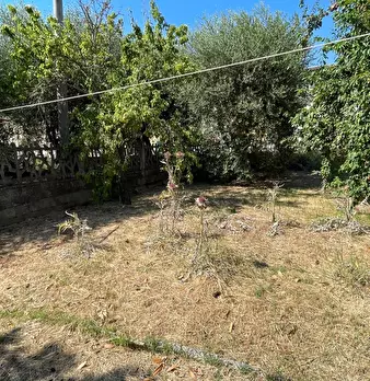 Foto annuncio 21