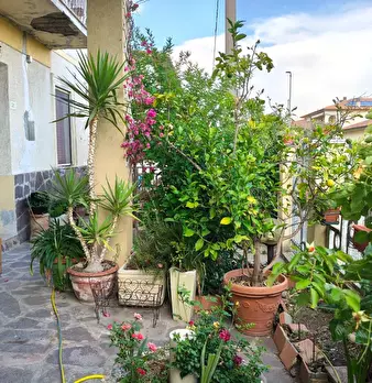 Foto annuncio 6