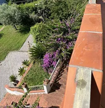 Foto annuncio 20