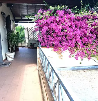 Foto annuncio 1