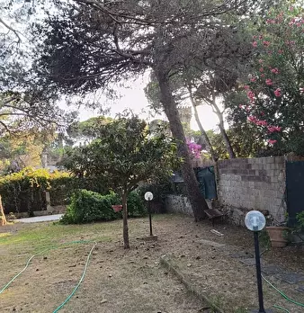 Foto annuncio 24