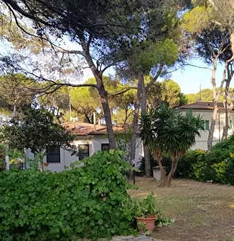 Foto annuncio 26