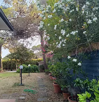Foto annuncio 27