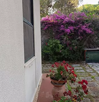 Foto annuncio 30