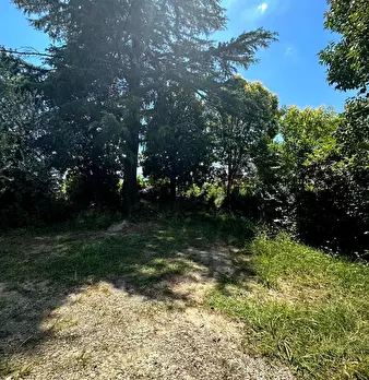 Foto annuncio 22