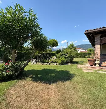 Foto annuncio 9