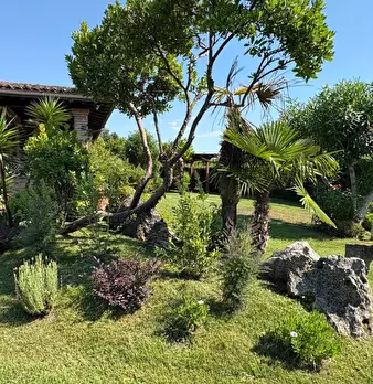 Foto annuncio 7