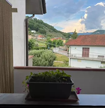 Foto annuncio 7