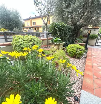 Foto annuncio 47