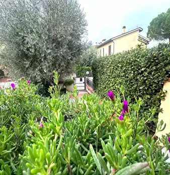 Foto annuncio 52