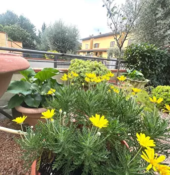 Foto annuncio 45