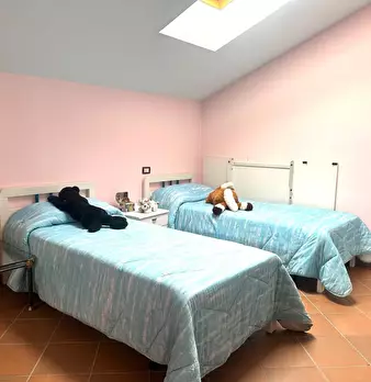 Foto annuncio 9