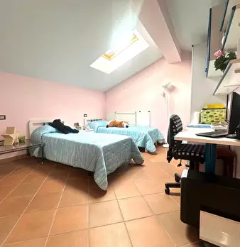 Foto annuncio 24