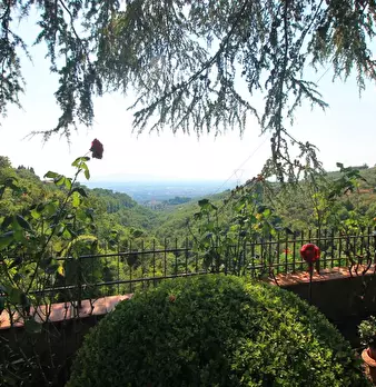 Foto annuncio 10