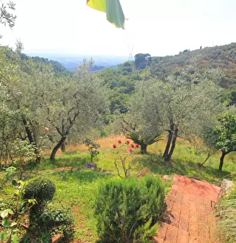 Foto annuncio 33