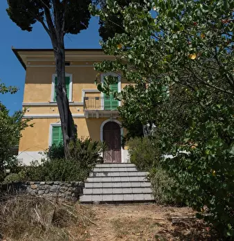 Foto annuncio 10