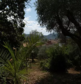 Foto annuncio 6