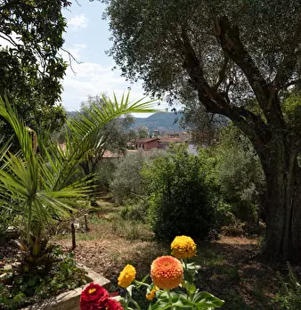 Foto annuncio 16