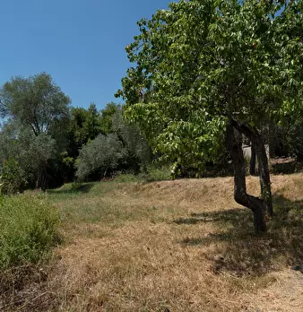 Foto annuncio 15