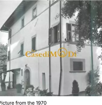 Foto annuncio 2