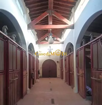 Foto annuncio 19