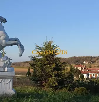 Foto annuncio 18