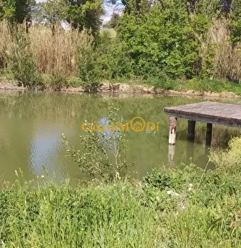 Foto annuncio 11