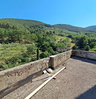 Foto annuncio 4