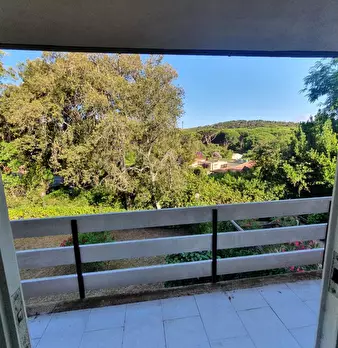 Foto annuncio 24