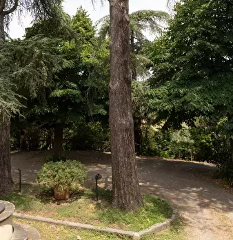 Foto annuncio 28