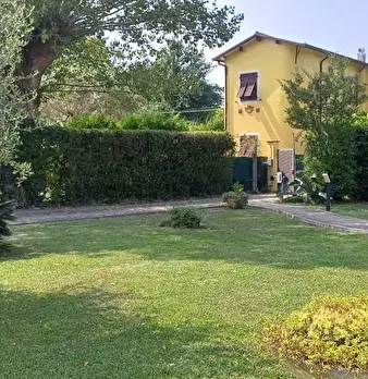 Foto annuncio 33